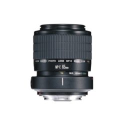 Canon-65mm f2.8 1-5x Macro Photo.jpg